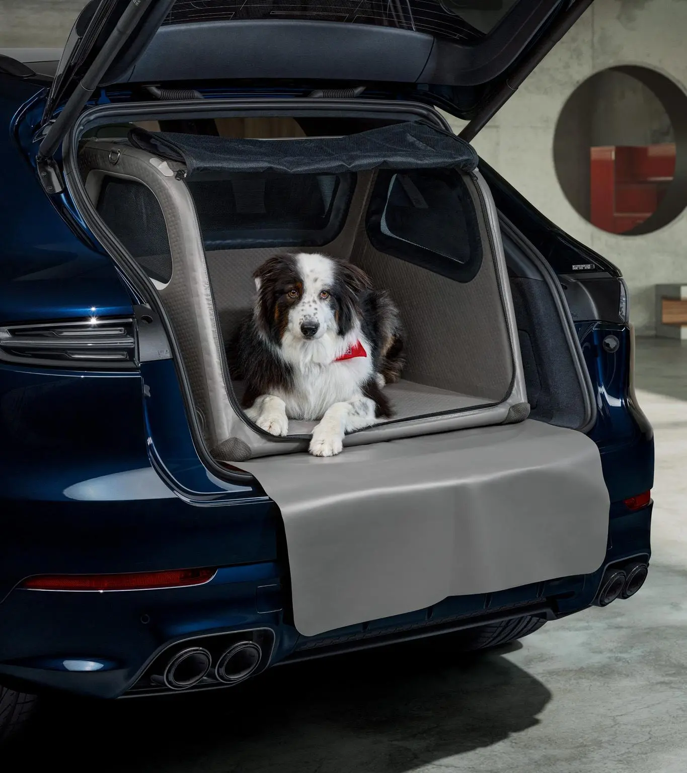 Porsche Luggage Compartment Box for dogs | PORSCHE SHOP