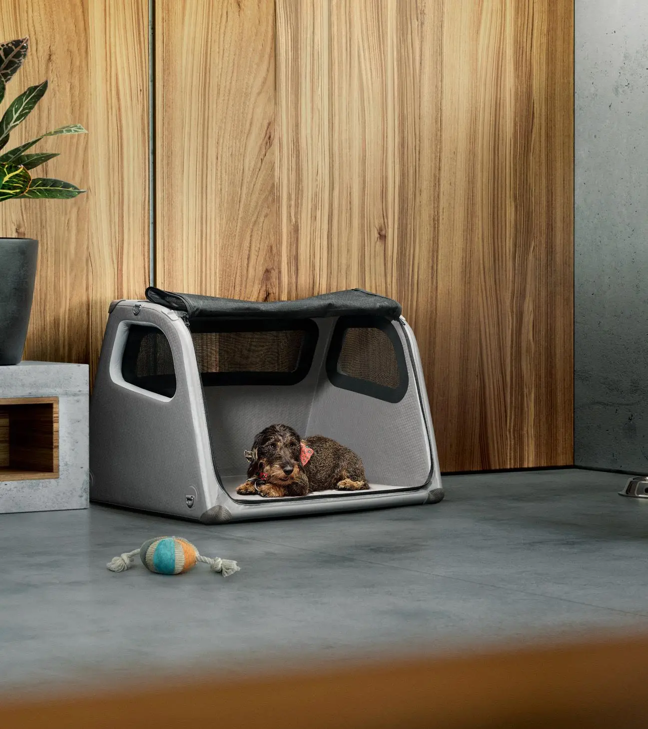 Porsche Luggage Compartment Box for dogs | PORSCHE SHOP